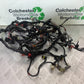 PIAGGIO VESPA GTS 125 WIRING LOOM  YEAR 2009-2014  (CMB1261)