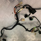 YAMAHA FJR1300 FJR 1300 WIRING SUBLOOM   YEAR 2001-05 (STOCK 946)
