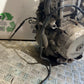 HONDA NT 700 V DEAUVILLE ENGINE YEAR 2006-2011 (CMB1211)