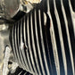 HARLEY DAVIDSON XL883 XL 883 N IRON ENGINE YEAR 2020 (CMB1116)