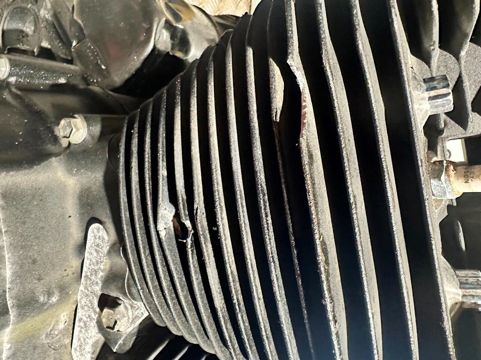 HARLEY DAVIDSON XL883 XL 883 N IRON ENGINE YEAR 2020 (CMB1116)