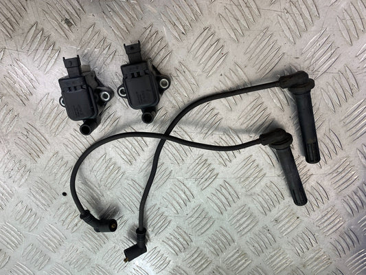 DUCATI 1299 PANIGALE COILS AND CAPS  YEAR 2016 (CMB 1187)