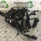 HONDA CB650 F CB 650 FA-H WIRING LOOM  YEAR 2017-2019 (STOCK 710)