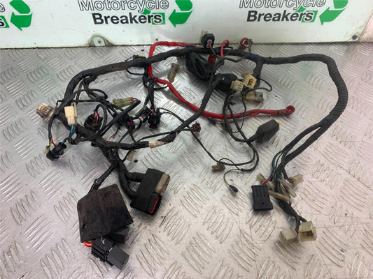 BENELLI BN125 BN 125 WIRING LOOM   YEAR 2018-2021 (CMB1245)