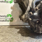 TRIUMPH 955i SPRINT ST ENGINE YEAR 1999-2004 (CMB1176)