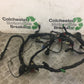 HONDA CB600 CB 600 F-8 HORNET WIRING LOOM   2010 (STOCK 669)