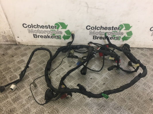 HONDA CB600 CB 600 F-8 HORNET WIRING LOOM   2010 (STOCK 669)