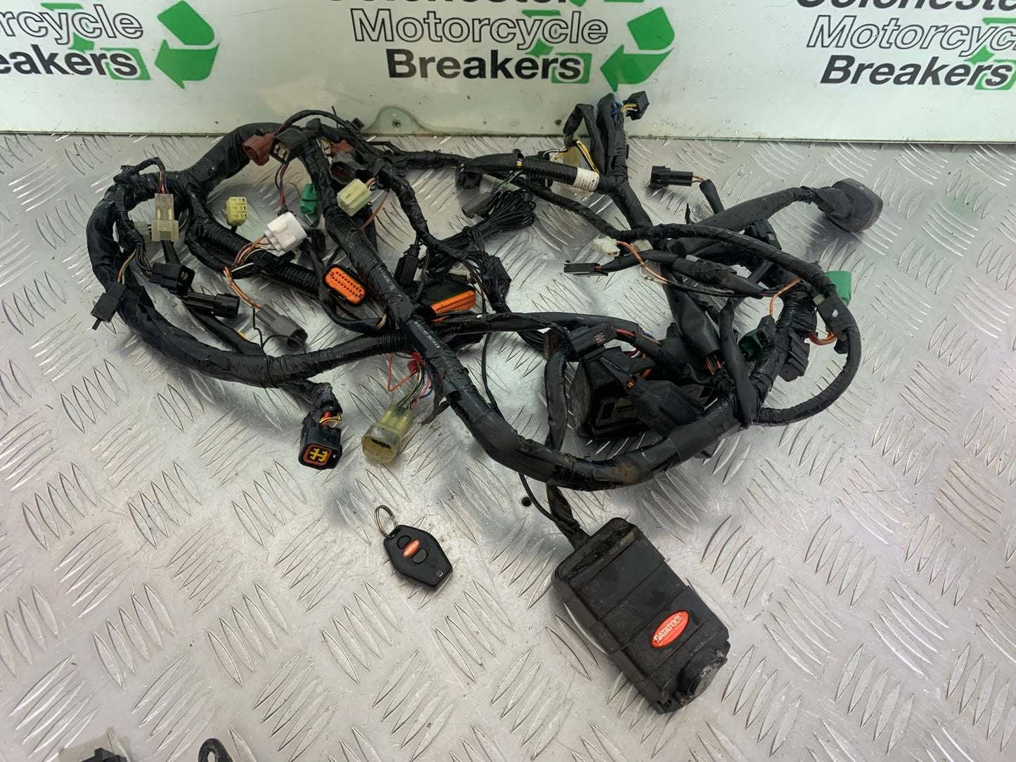 SUZUKI INTRUDER VL800 C800 WIRING LOOM  YEAR 2012-16 (CMB1039)