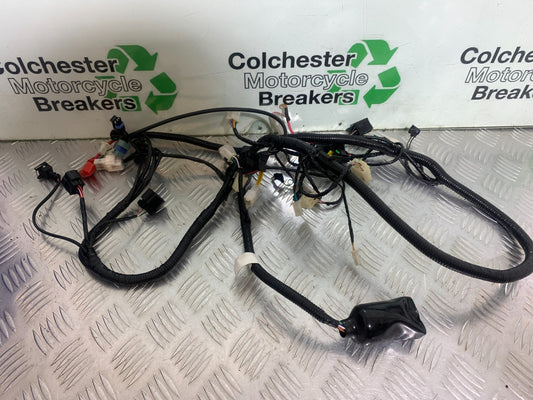 NECO GPX125 WIRING LOOM  YEAR 2016-2021 (CMB1052)