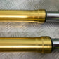APRILIA TUONO 1000 V4 FORKS  YEAR 2013-2014  (CMB1239)