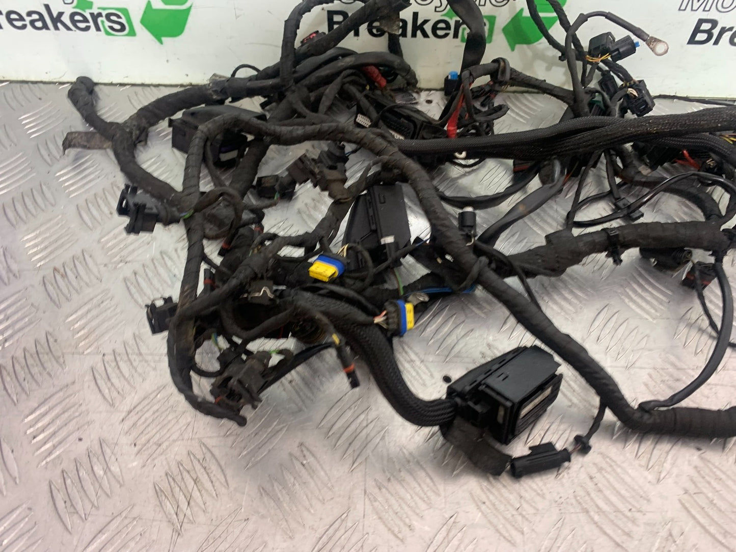BMW K1300 S K 1300 S WIRING LOOM YEAR 2009-16 (CMB1216)