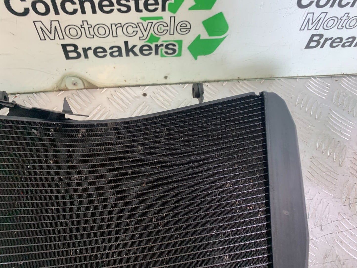 HONDA CBR1000 rr FIREBLADE RADIATOR  2008-2011 (CMB1253)