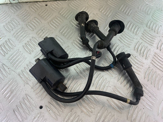 YAMAHA YZF600 YZF 600 THUNDERCAT COILS AND CAPS  1996-2003 (CMB1134)