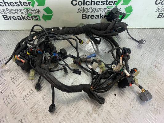 KTM 790 DUKE WIRING LOOM  YEAR 2018-2021  (CMB11150)