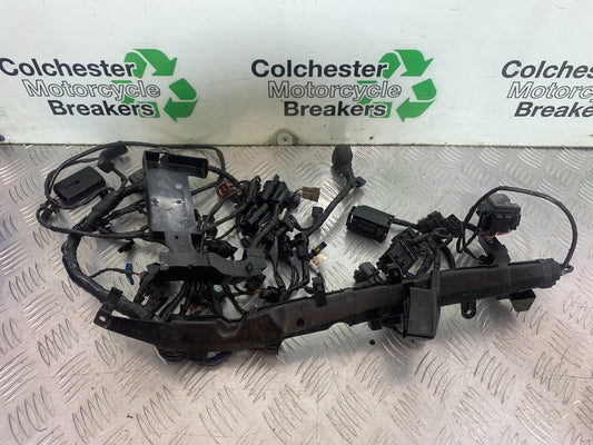 TRIUMPH 675 STREET TRIPLE WIRING LOOM  2013-2016 (CMB1186)