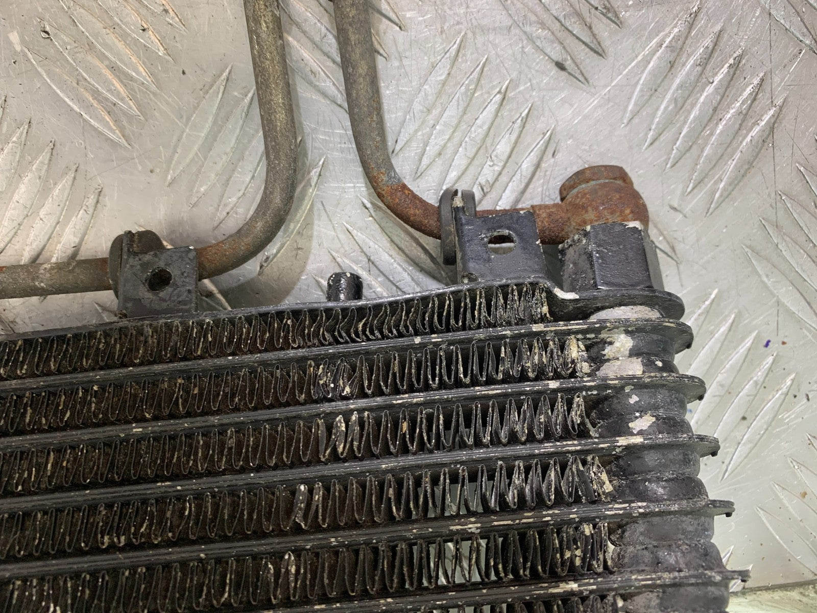 TRIUMPH 955I SPRINT RS OIL COOLER AND LINES   YEAR 1999-03 (CMB1313)
