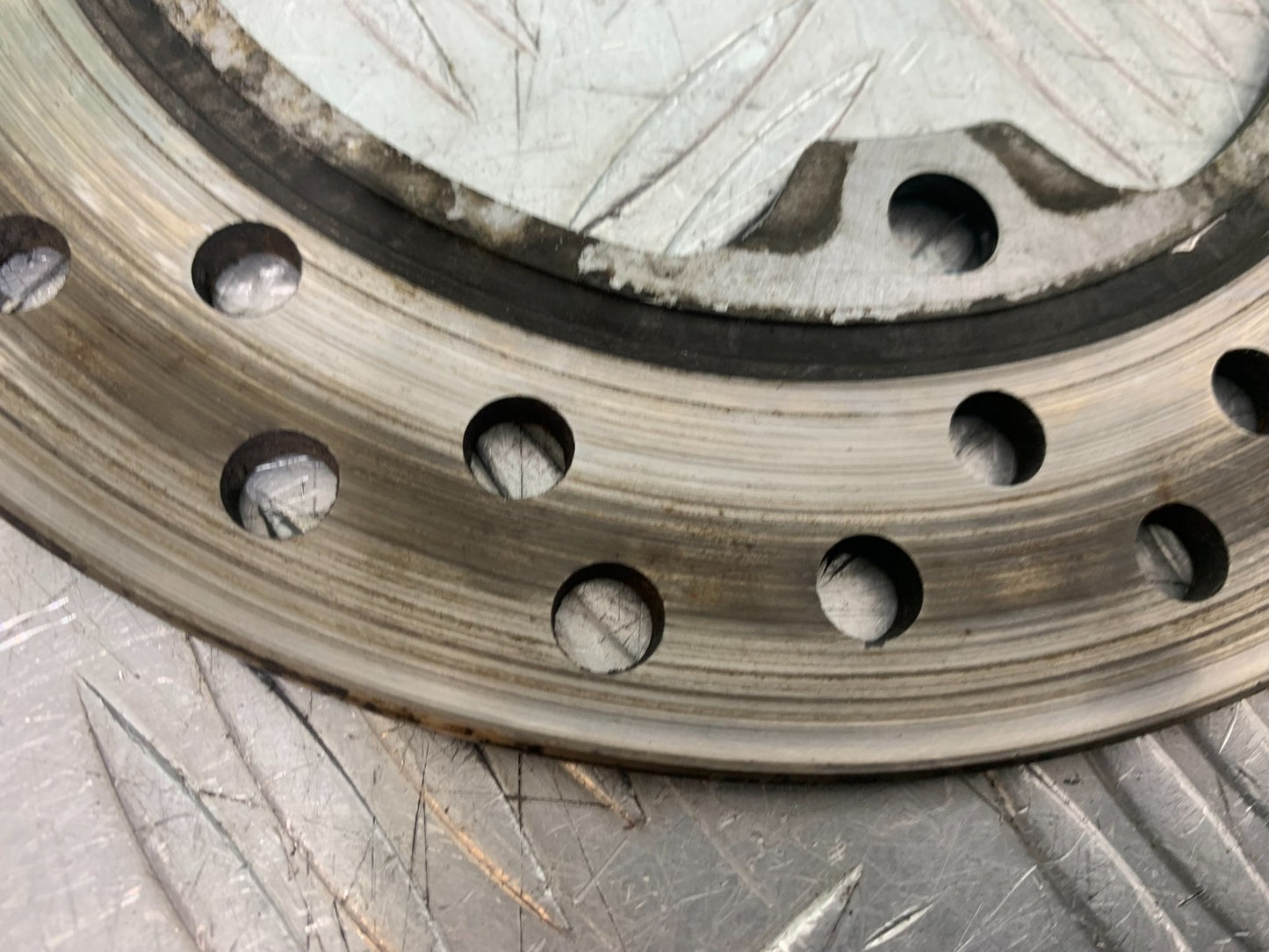 HONDA CBR600 CBR 600 FX FY REAR DISC YEAR 1999-2000 (CMB1287)