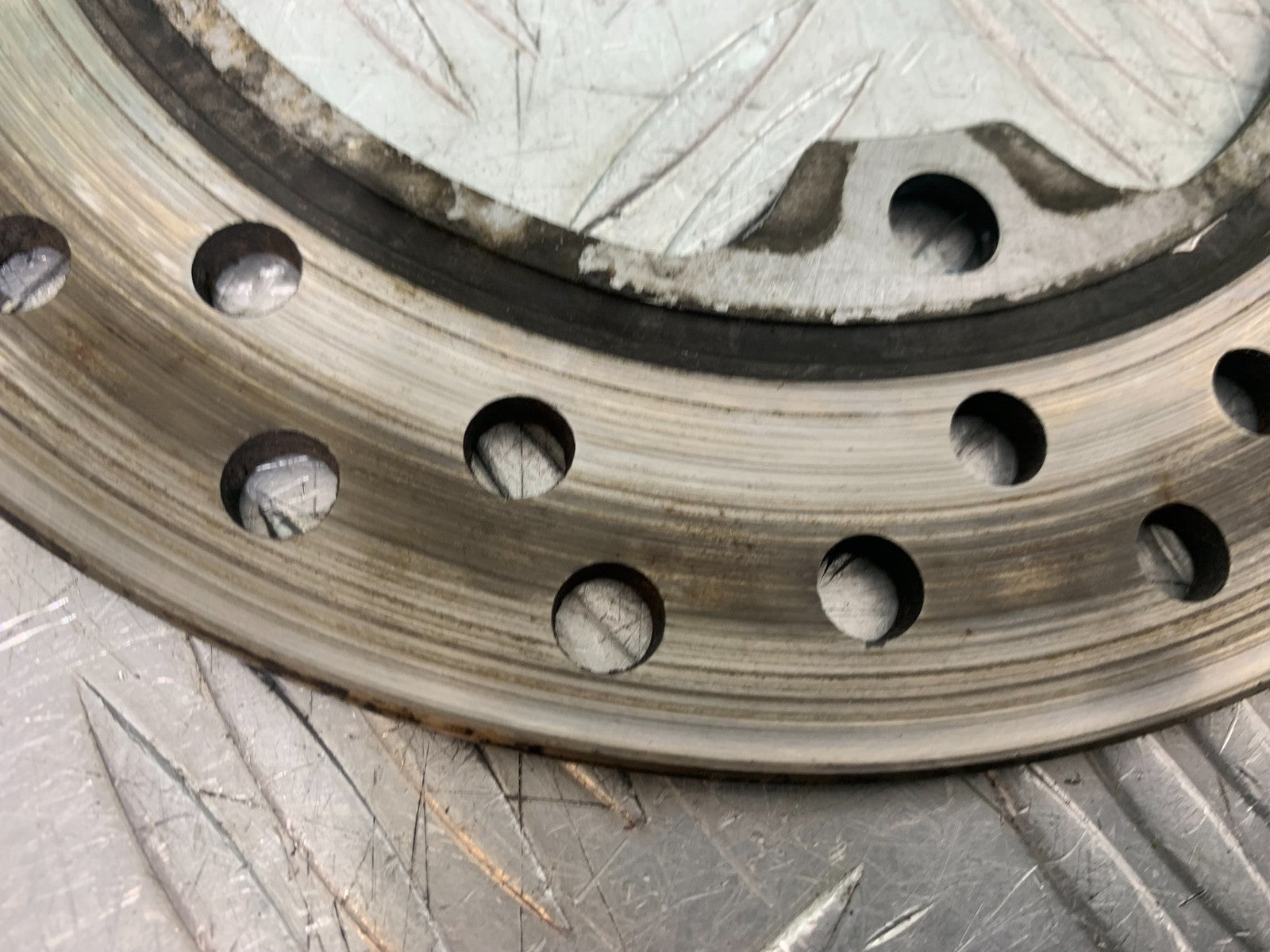 HONDA CBR600 CBR 600 FX FY REAR DISC YEAR 1999-2000 (CMB1287)