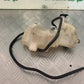HONDA CBR1000 rr FIREBLADE COOLANT BOTTLE  2008-2011 (STOCK 986)