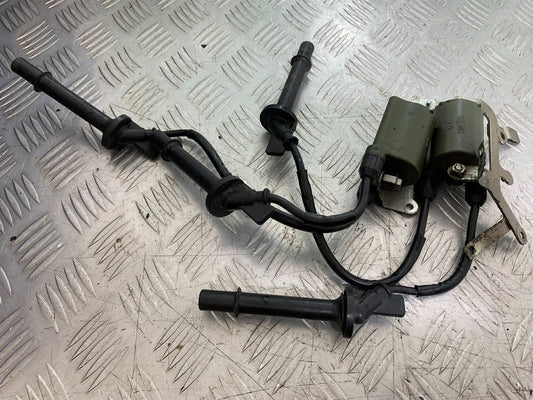 HONDA CBF600 CBF 600 COILS AND CAPS YEAR 2004 -07 (CMB1247)