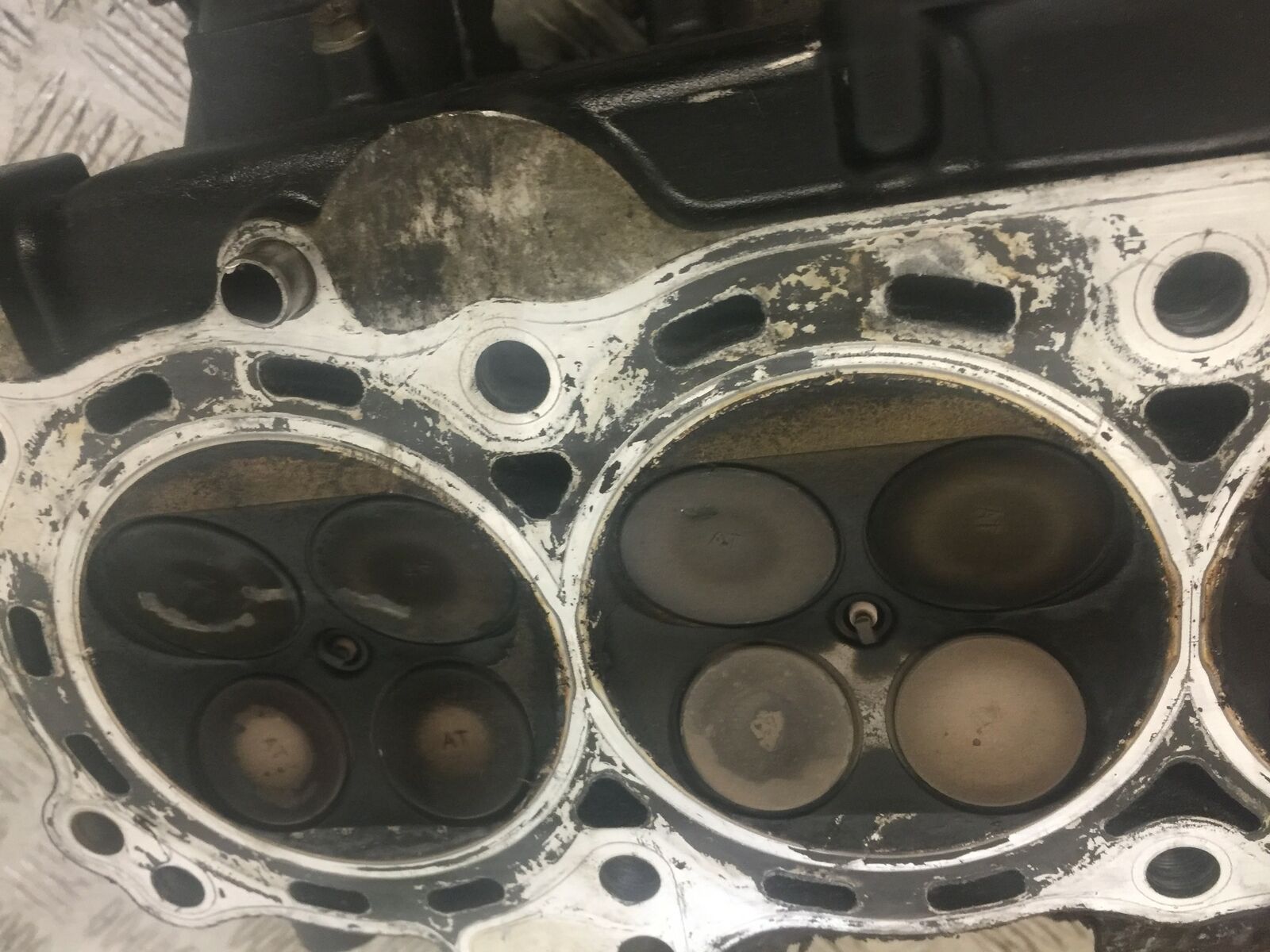 HONDA CBR1100 BLACKBIRD CYLINDER HEAD  YEAR 2001 (STOCK 390)