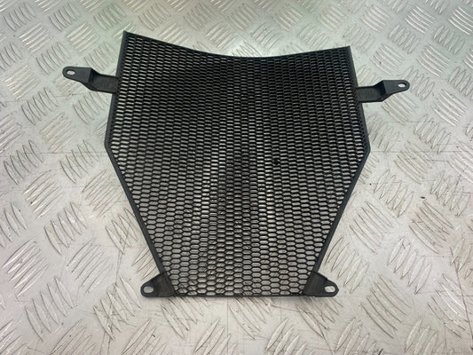 BMW K1300 S K 1300 S RADIATOR GRILL YEAR 2009-16 (CMB1216)