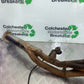 TRIUMPH 600 DAYTONA EXHAUST DOWNPIPES   YEAR 2003-2006 (STOCK 999)