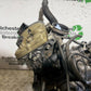 DUCATI 937 MONSTER ENGINE YEAR 2021-2024 (CMB1270) - 9,000 MILES