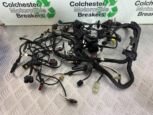 DUCATI 1299 PANIGALE WIRING LOOM  YEAR 2016 (CMB 1187)