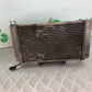 HONDA CBF600 CBF 600 RADIATOR AND FAN  YEAR 2004-07  (CMB1305)