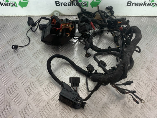 BMW S1000 RR MAIN WIRING LOOM YEAR 2015-2018 (CMB1246)