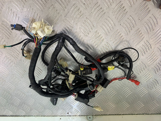 MUTT GT-SS 125 WIRING LOOM   YEAR 2020- 2024 (CMB1085)