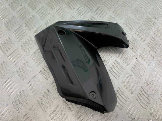 KAWASAKI ZX10R ZX10 R LEFT FAIRING INFILL PANEL   2008-2010 (CMB1301)