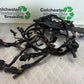 HARLEY DAVIDSON XL883 N IROD WIRING LOOM  YEAR 2020  (CMB1116)