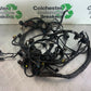 TRIUMPH 1050 SPRINT ST WIRING LOOM  YEAR 2004-2007 (CMB1089)
