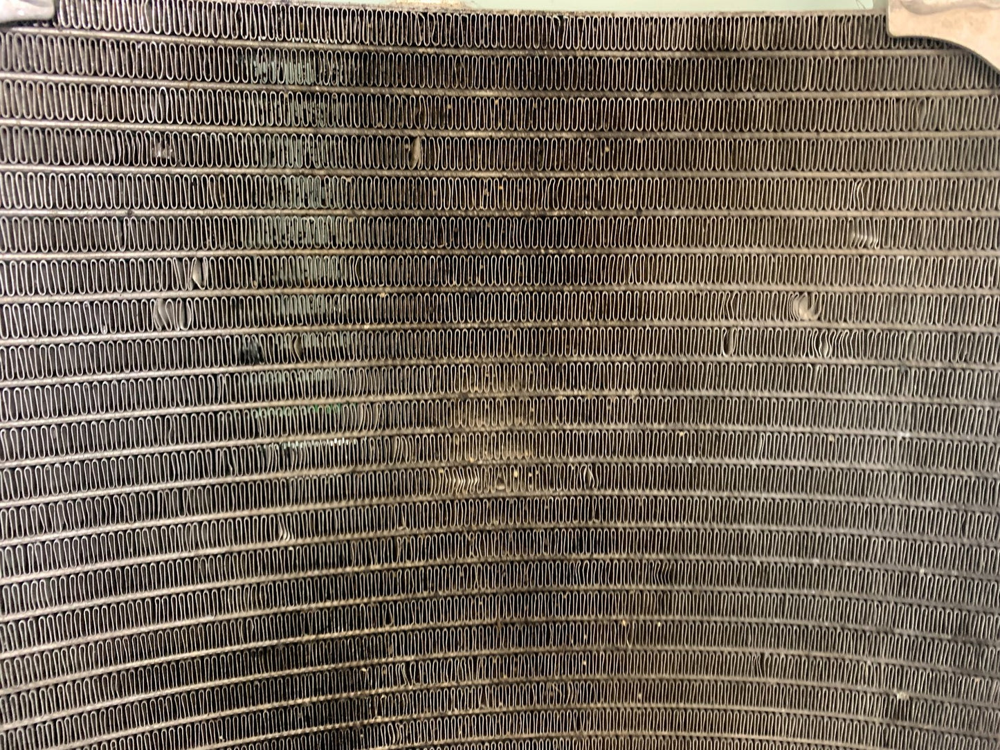 MV AGUSTA 800 F3 RADIATOR  YEAR 2017-2019 (CMB1227)