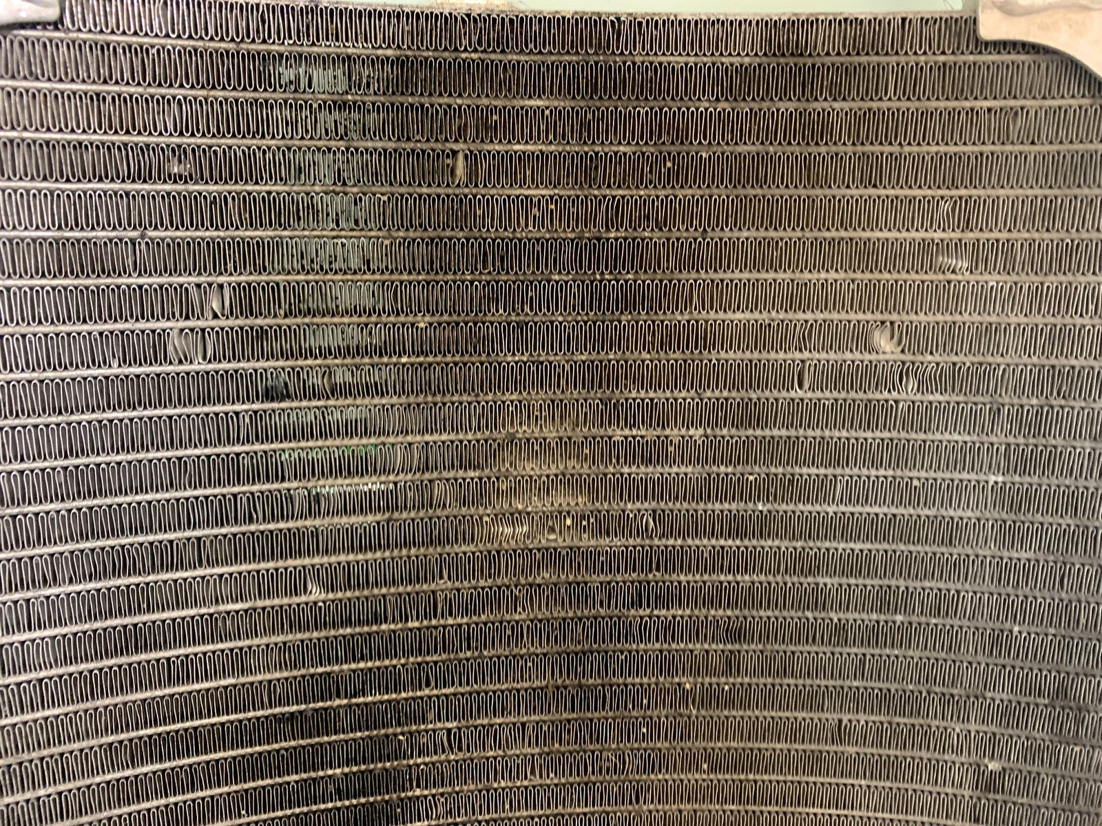 MV AGUSTA 800 F3 RADIATOR  YEAR 2017-2019 (CMB1227)