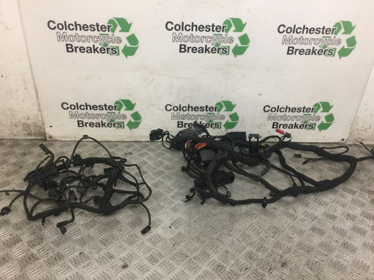 BMW S1000 R WIRING LOOM YEAR 2018  (STOCK 645)