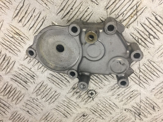 HONDA CRF1000 (DCT) AFRICA TWIN GEAR SELECTOR COVER YEAR 2016-2019 (STOCK 724)