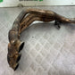 TRIUMPH SPEED TRIPLE R 1050 EXHAUST DOWNPIPES  2009 (CMB1183)