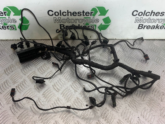 BMW S1000 RR WIRING SUB LOOM  YEAR 2015-2018 (CMB1246)