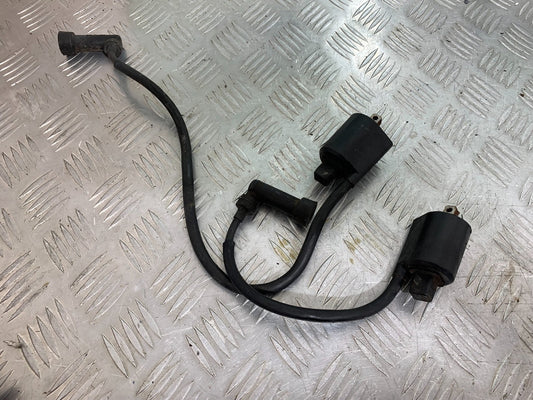 YAMAHA XV1100 XV 1100 VIRAGO COILS AND CAPS   1990-1999 (CMB1190)