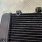 HONDA CBR600 CBR 600 F RADIATOR   YEAR 2000-2003(CMB1091)