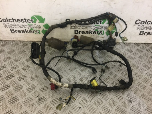 HONDA CBF600 CBF 600 WIRING LOOM  YEAR 2004-2006 (STOCK 700)