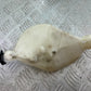 HONDA CBF600 CBF 600 COOLANT BOTTLE  YEAR 2004 -07 (CMB1247)
