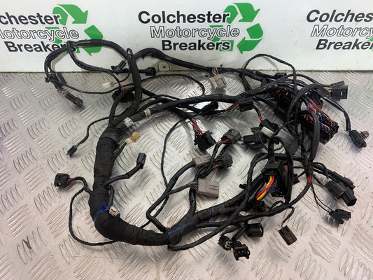 TRIUMPH TRIDENT 660 WIRING LOOM  YEAR 2021-2024 (CMB1148)