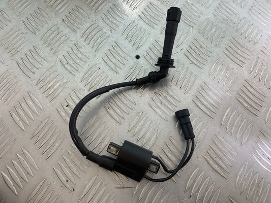 SINNIS TERRAIN 125 COIL AND CAP   YEAR 2024 (CMB1072)