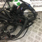 TRIUMPH TIGER 800 XCX WIRING LOOM 2018-2021 (STOCK 548)