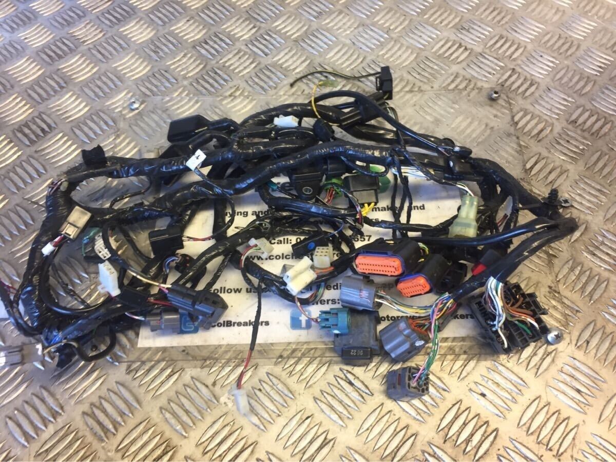KAWASAKI EX250 NINJA 250 WIRING LOOM  YEAR 2009