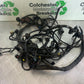 TRIUMPH 1050 SPRINT ST WIRING LOOM  YEAR 2004-2007 (CMB1089)